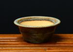 Bonsai Pot Koyo