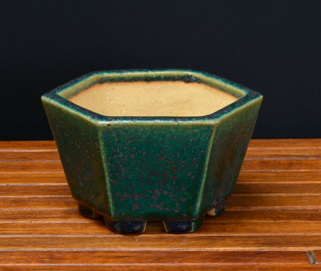 菊正宗　キクマサムネセット　STAINLESS　BON ALOI　ポット等セット 菊正宗 キクマサムネセット STAINLESS BON ALOI ポット等セット