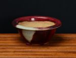 Koyo Japanese Pot