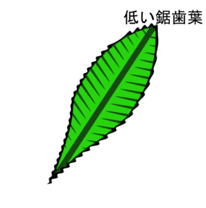 BORD_SERRE-2025-NEW2