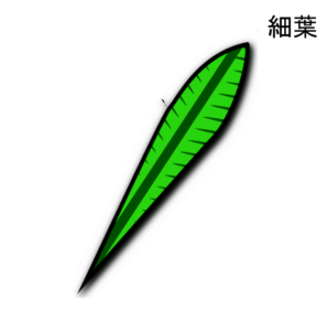 Hoshoba-2025-1-NEW