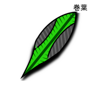 Marrika-2025-1-NEW