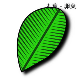 Maruba-2025-1-NEW