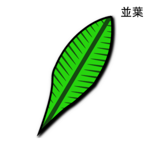 Namiba-2025-1-NEW