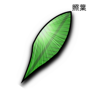 Teruha-2025-1-NEW