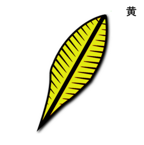 YELLOW-2025-1-NEW