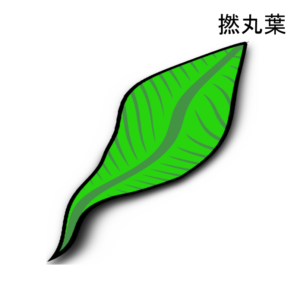 YoMaruba-2025-1-NEW